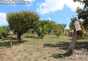imagem_30