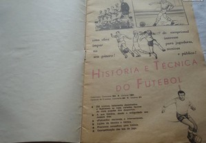 imagem_3