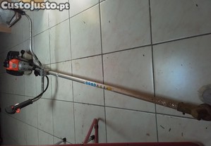 imagem_7