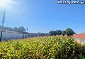 Terreno em Oliveira do Bairro
