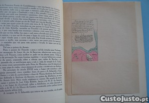 imagem_5
