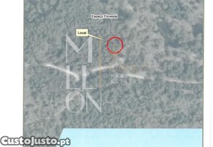 Terreno de Pinhal- 763