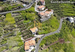 imagem_8