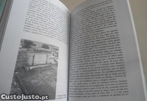 imagem_7