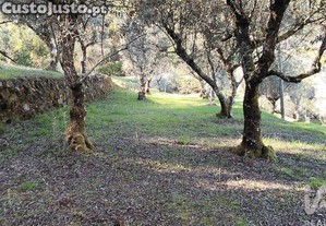 imagem_36