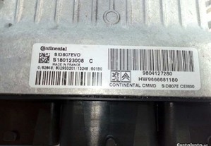 imagem_2