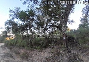 imagem_21