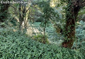 Terreno Rustico Com 1490M2, Em Gondomar, Porto