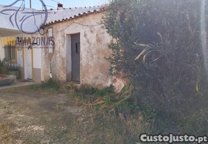imagem_8