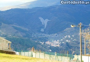 imagem_11