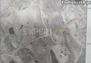 imagem_11