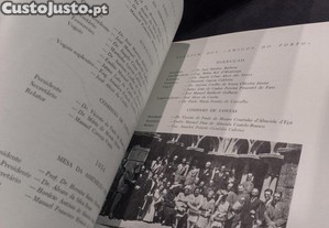 imagem_8