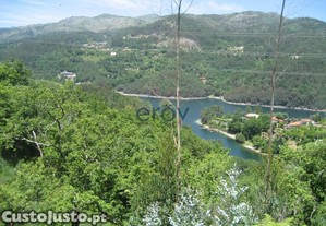 Terreno Em Caniada E Soengas,Vieira Do Minho