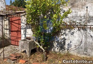 imagem_21