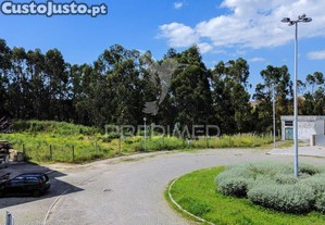 imagem_11