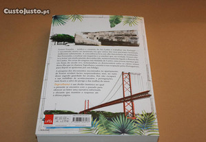 imagem_3