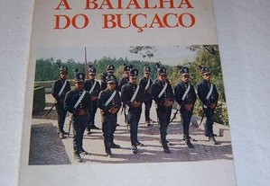 A Batalha do Buçaco, Museu Militar