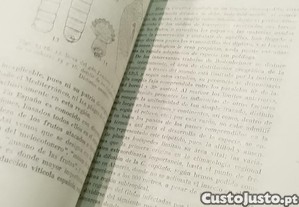 imagem_13