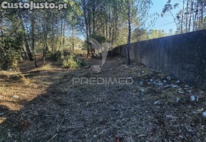imagem_8