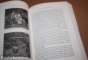 imagem_11