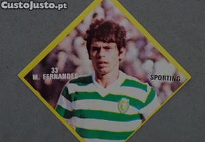 imagem_1
