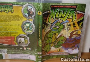 imagem_11