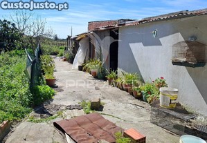 imagem_8