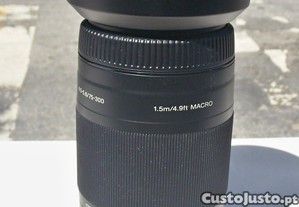 imagem_3