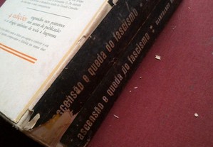 imagem_9