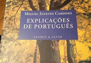 Explicações de português - Miguel Esteves Cardoso