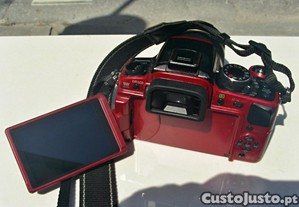 imagem_4