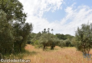 Terreno em Chos de 3680,00 m