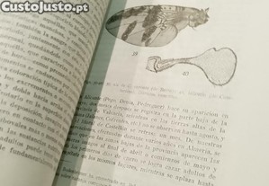 imagem_12