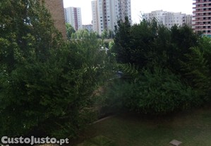 imagem_10
