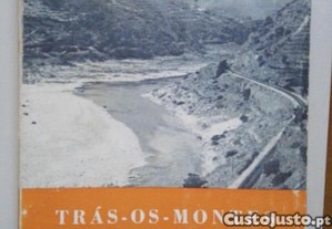 imagem_1