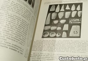 imagem_9