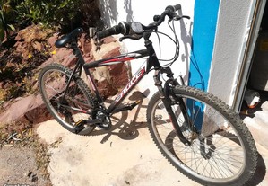 Bicicleta de montanha homem