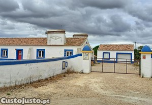 Terreno Rustico 5250m2 com moradia no licenciada Peges Claros