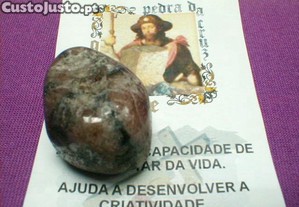 imagem_1