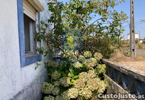 imagem_27