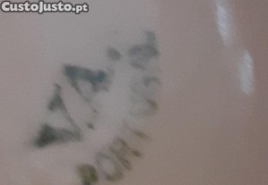 imagem_8
