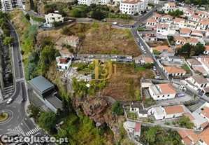imagem_11