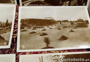 imagem_5