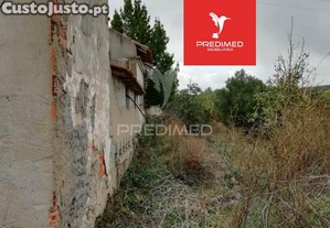 imagem_7