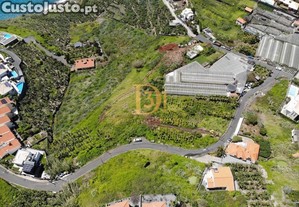 imagem_3