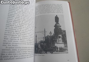 imagem_8