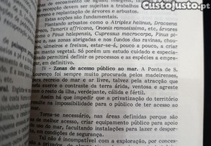 imagem_6