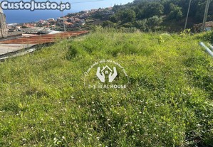 imagem_1