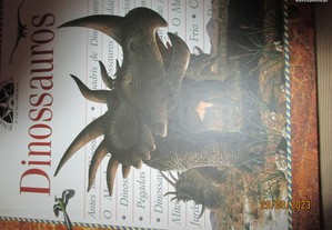 imagem_2