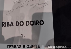 imagem_11